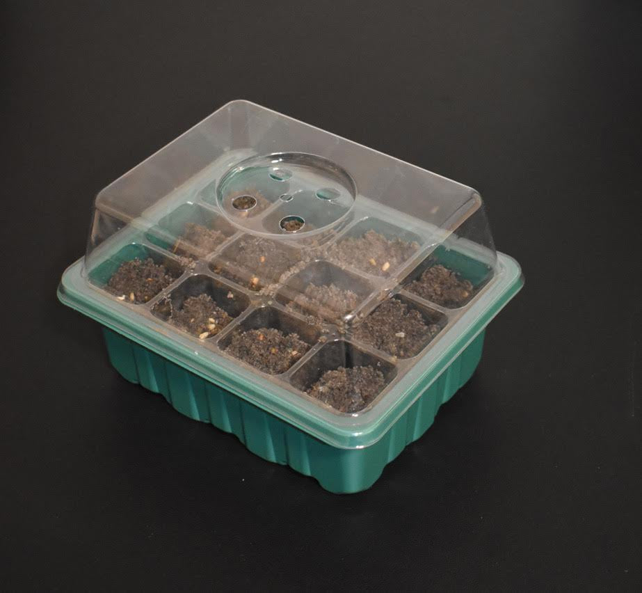 Seed Sprouting Kit with Pollinator Seeds