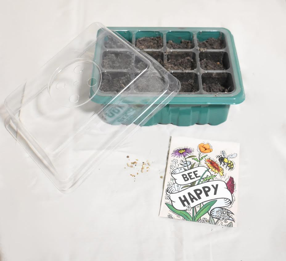 Seed Sprouting Kit with Pollinator Seeds