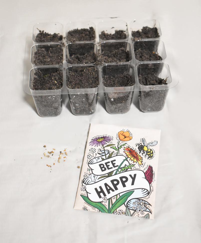 Seed Sprouting Kit with Pollinator Seeds